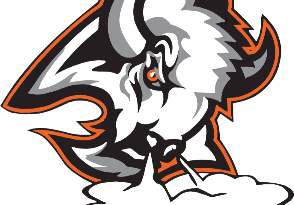 wainwright-minor-hockey-home-of-the-bisons